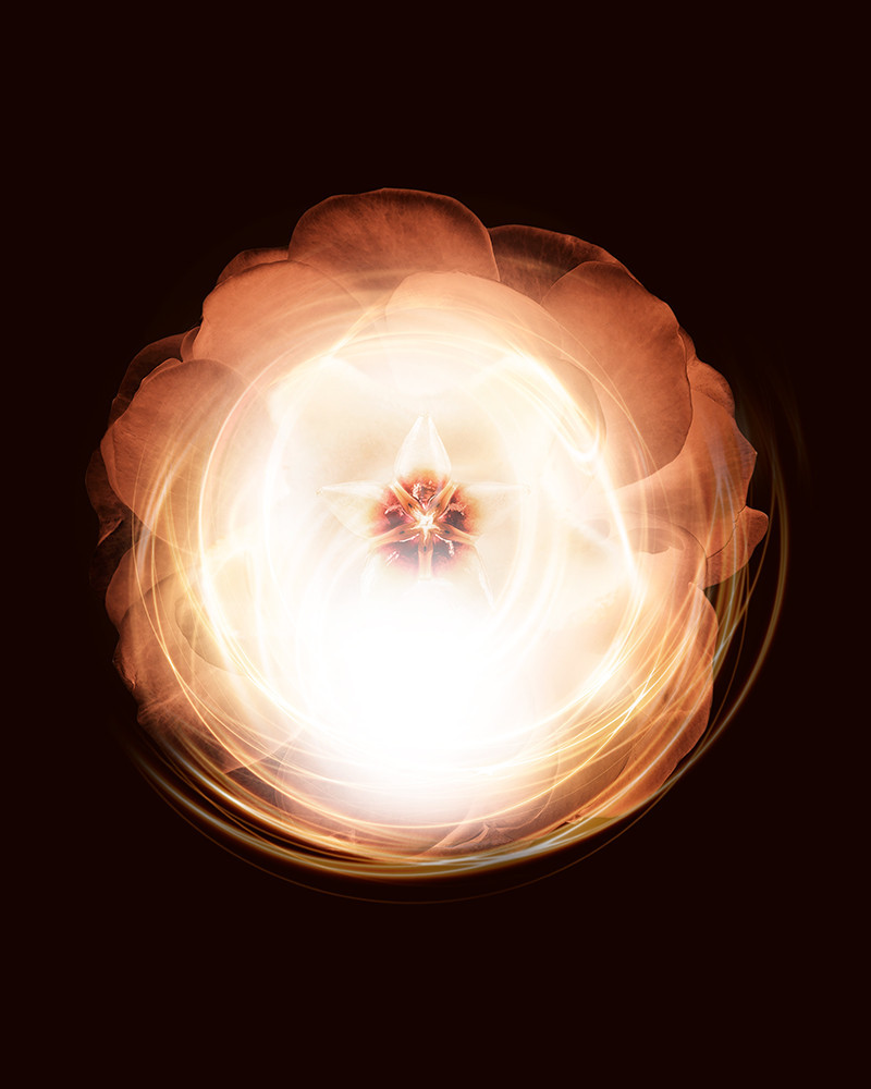 Rituale viso & corpo - secrets de Sothys Rituale viso & corpo - secrets de Sothys